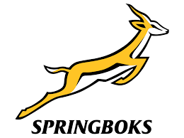SPRINGBOKS