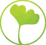 ginko