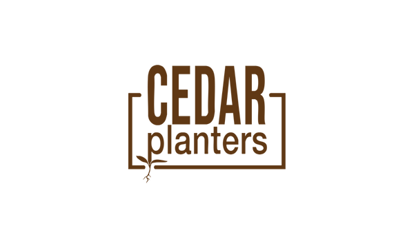 Cedar_Planter